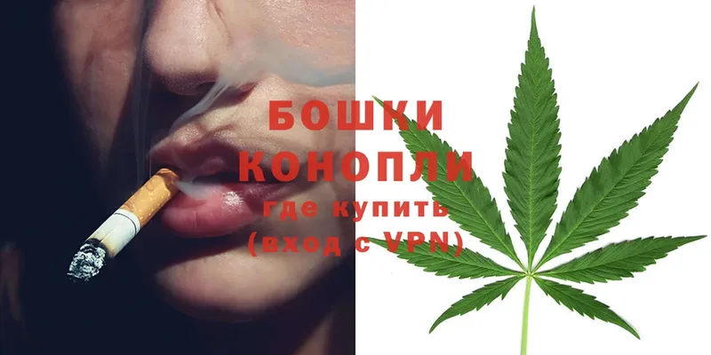 Марихуана White Widow  Белая Холуница 